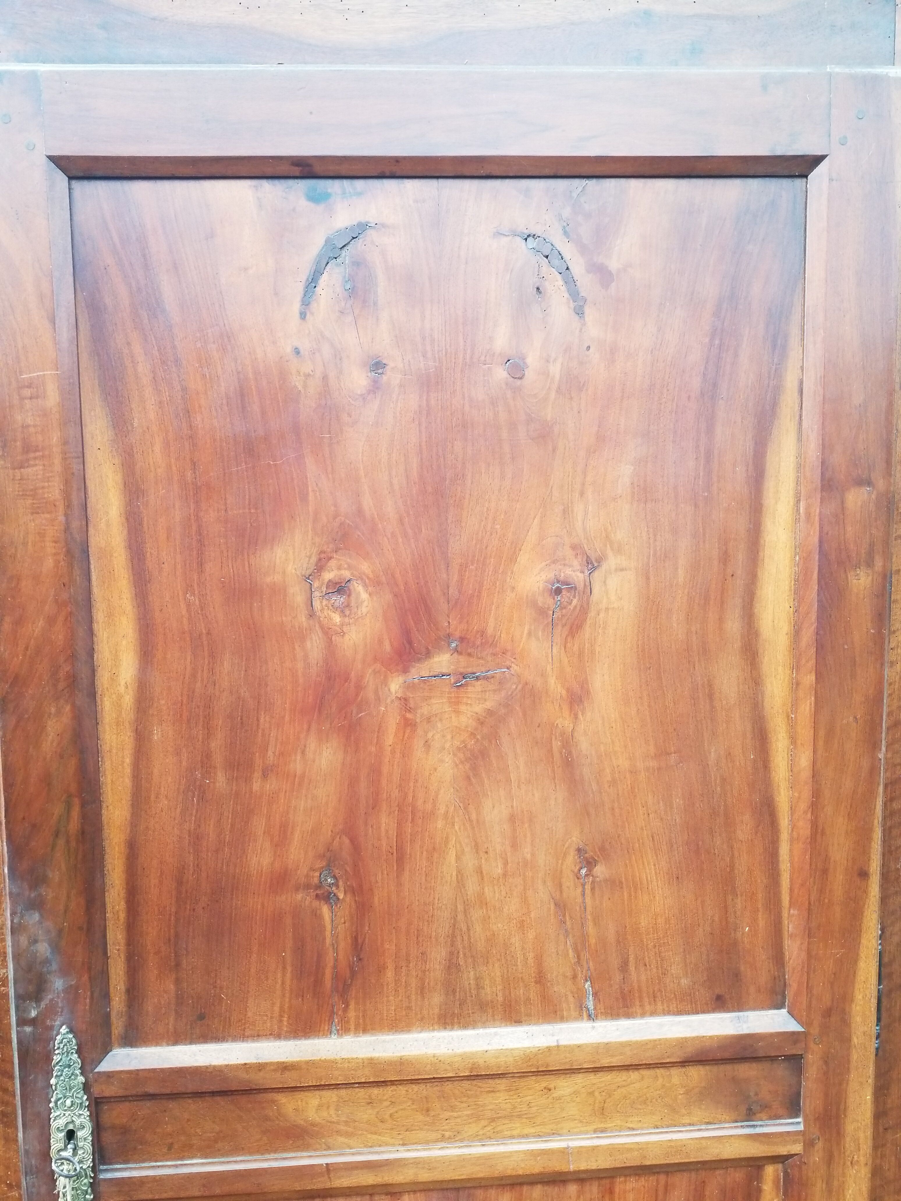 Elm magnifying glass bonnetière