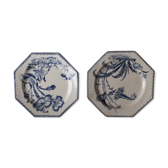 Duo of plates of clairfontaine model INDIANA