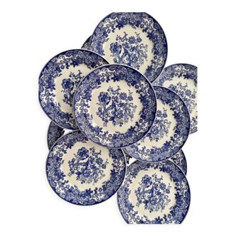 Italian earthenware plates