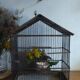 Cage ancienne