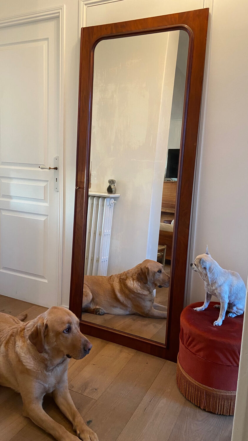Mirror 1960