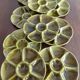 10 earthenware oyster plates from Gien