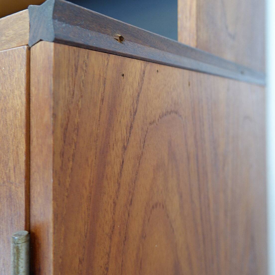 Storage unit by Cees Braakman for Pastoe, Netherlands 1955