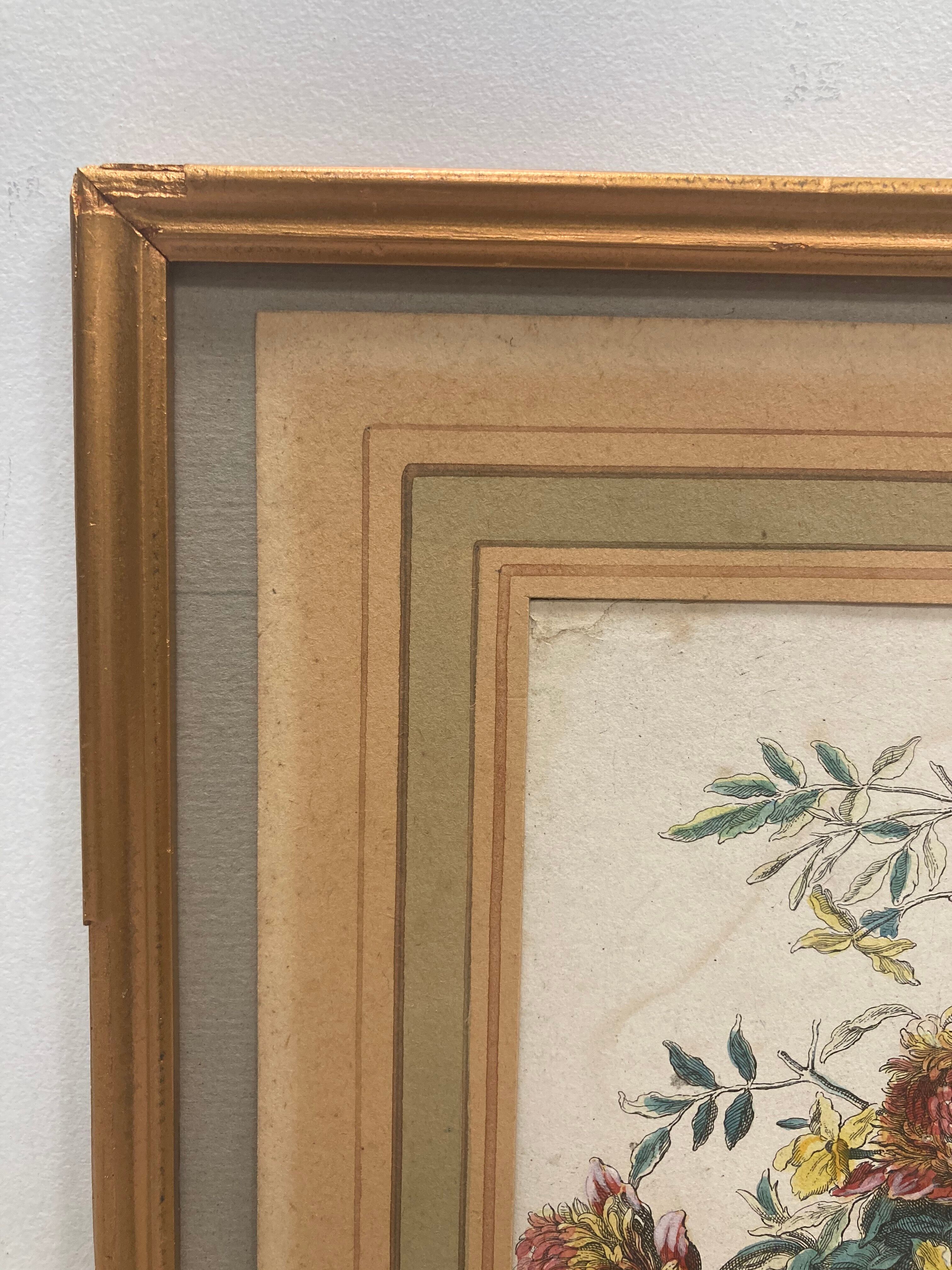 Pair of framed botanical boards