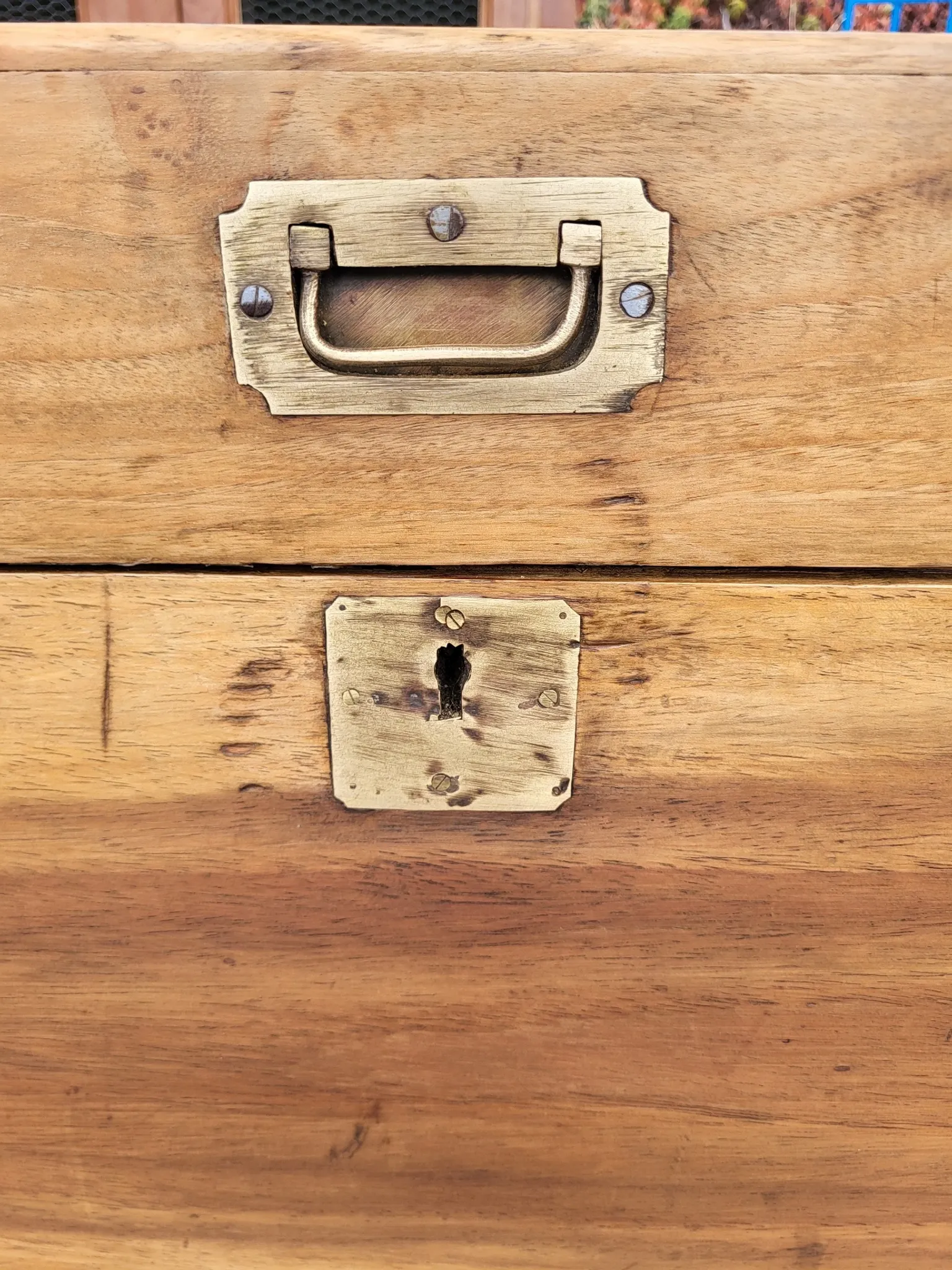 Old camphor wood trunk