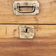 Old camphor wood trunk