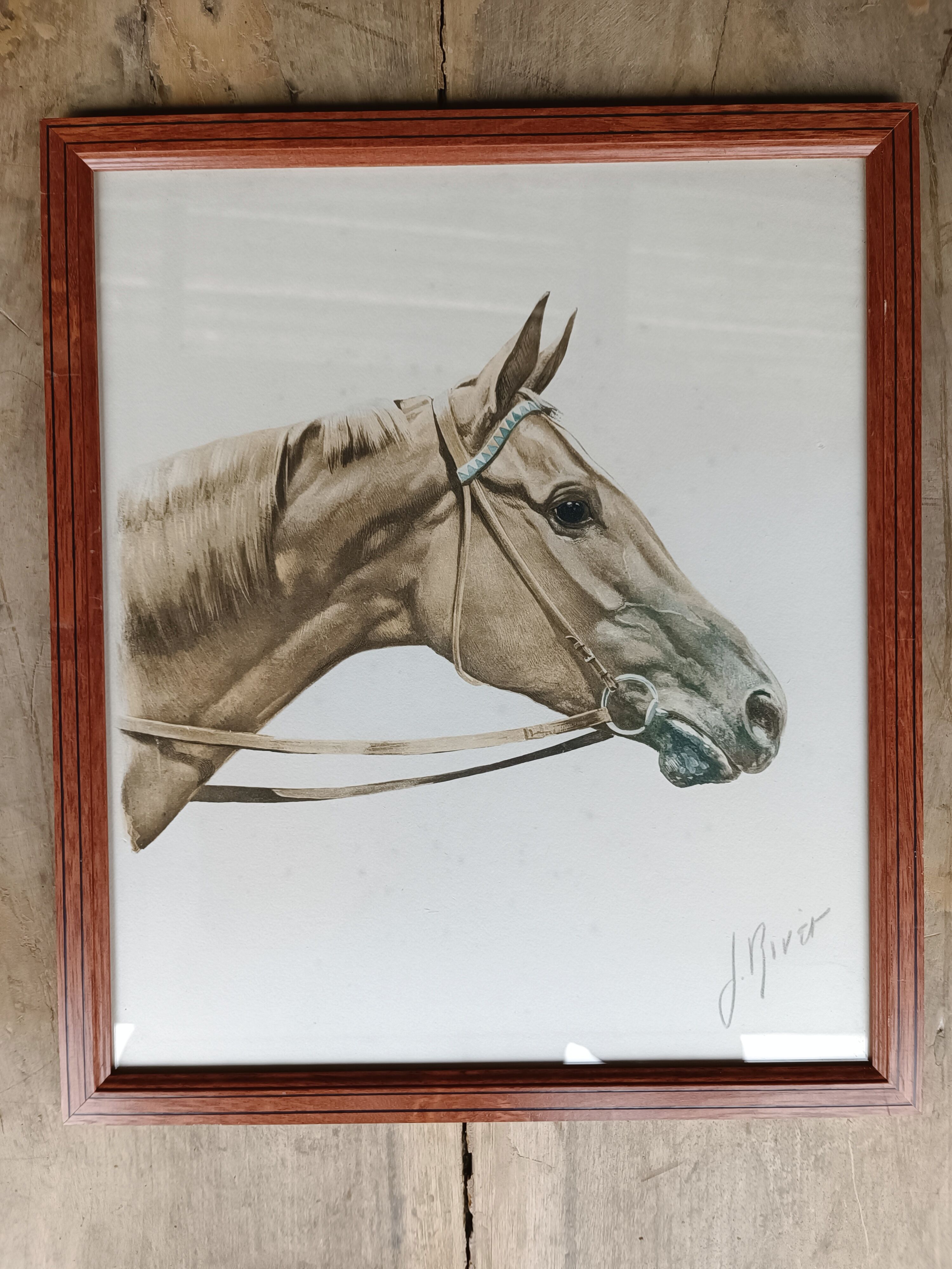 Lithographie cheval J.Rivet