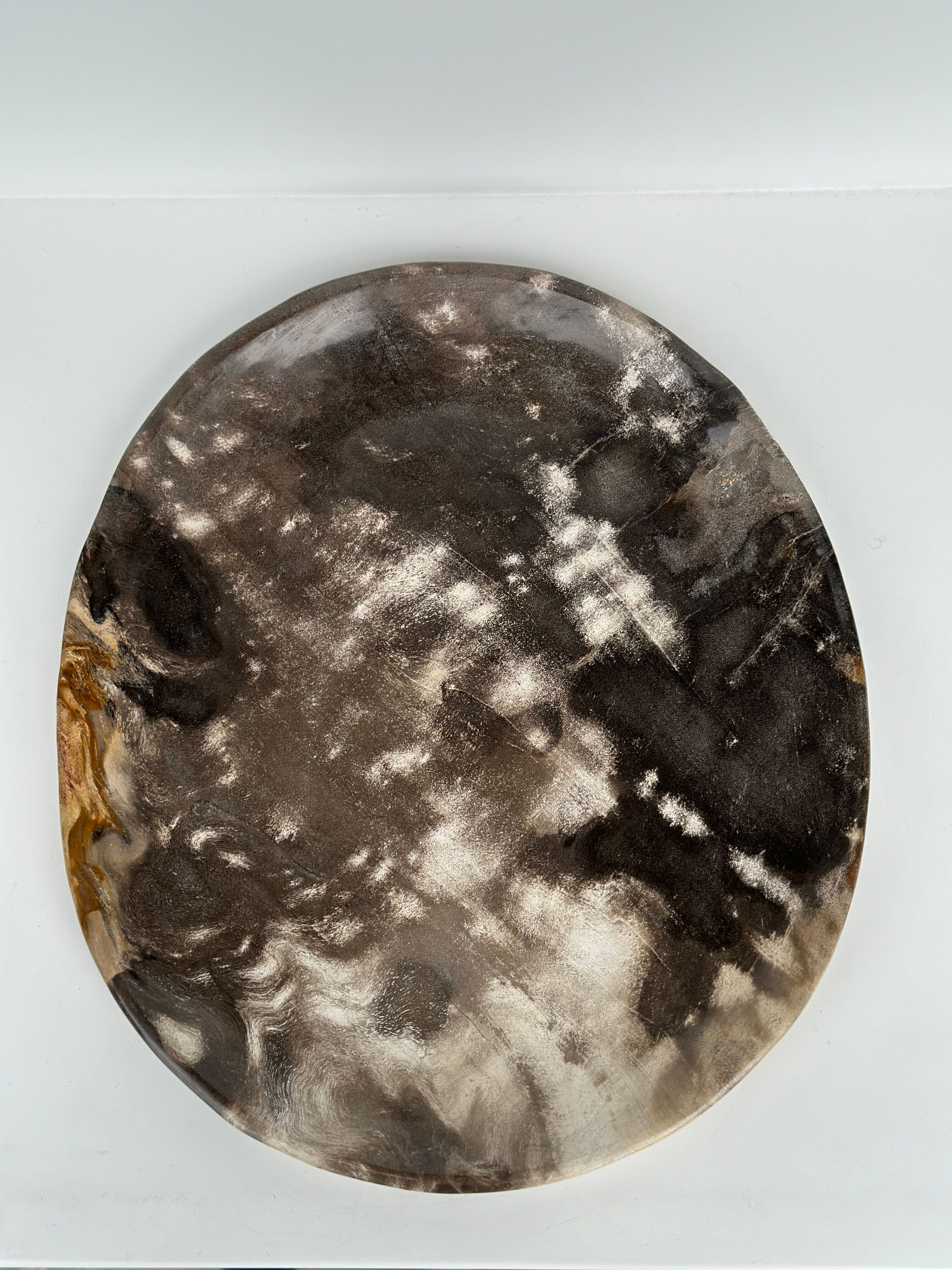 Dish in petrified wood