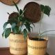 Wicker basket duo