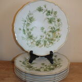 6 Limoges Haviland porcelain plates horn service