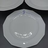 7 flat plates Winterling Kirchenlamitz - Veronica