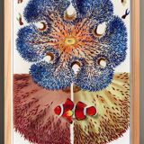 Affiche sur "Anémones des récifs coralliens", 1893