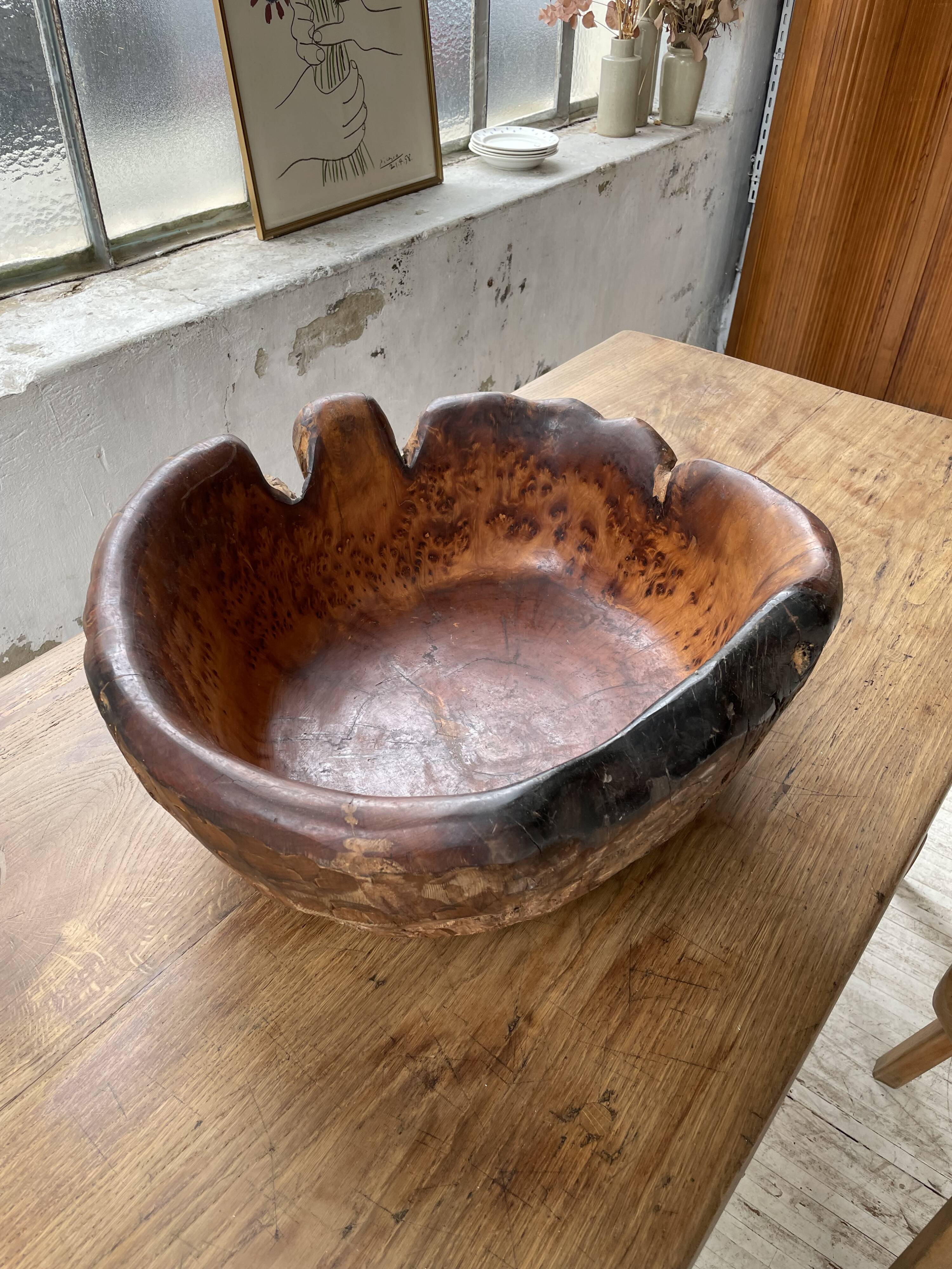 XL thuja root wooden dish
