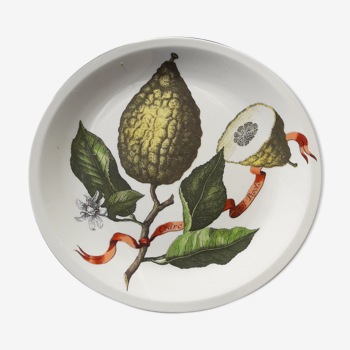 Villeroy dessert plate - Boch fruit pattern 20 cm