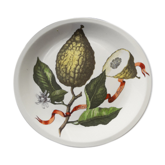 Villeroy dessert plate - Boch fruit pattern 20 cm