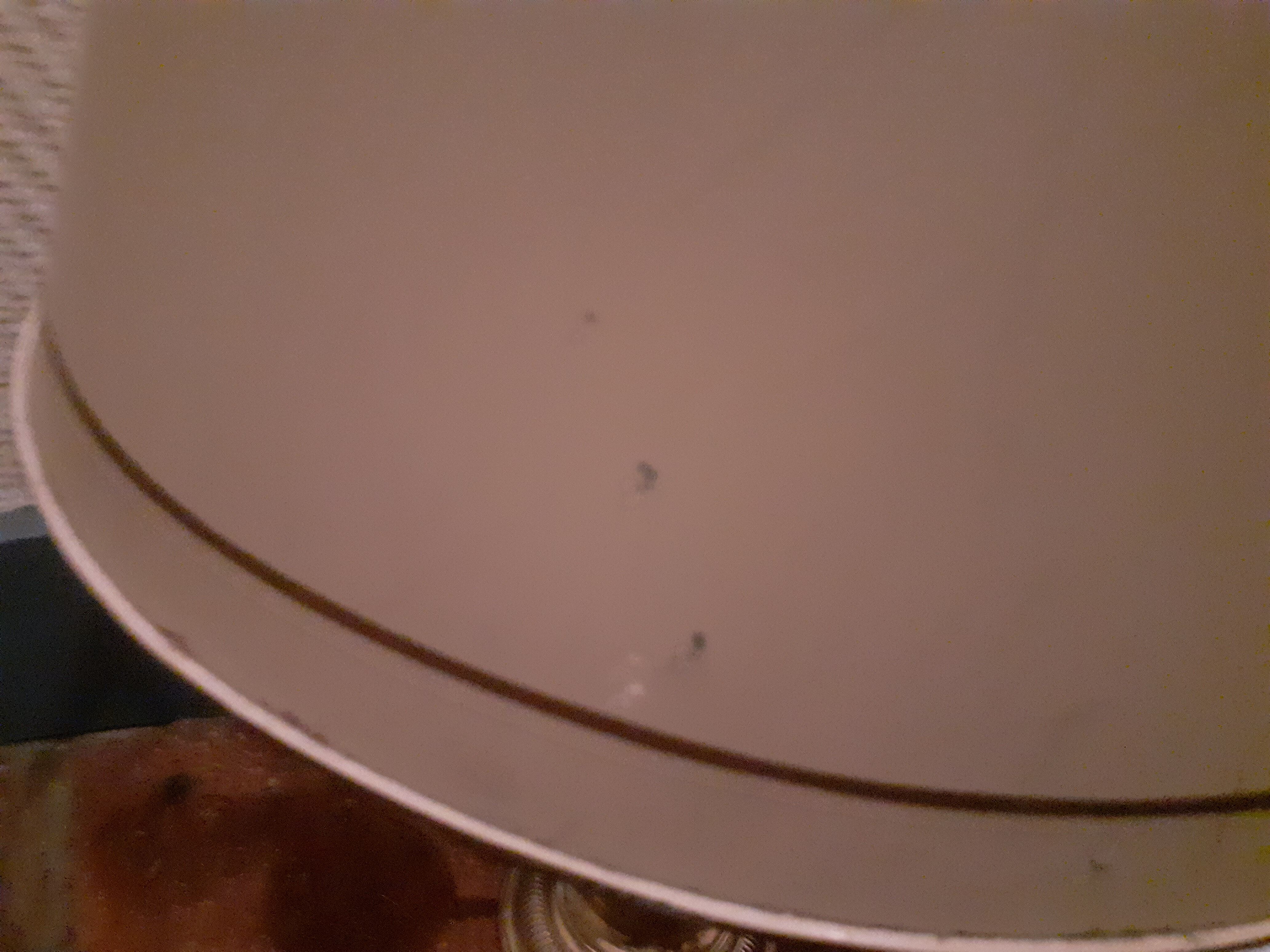 3-branched lampshade lamp sheet gilded bronze pietement