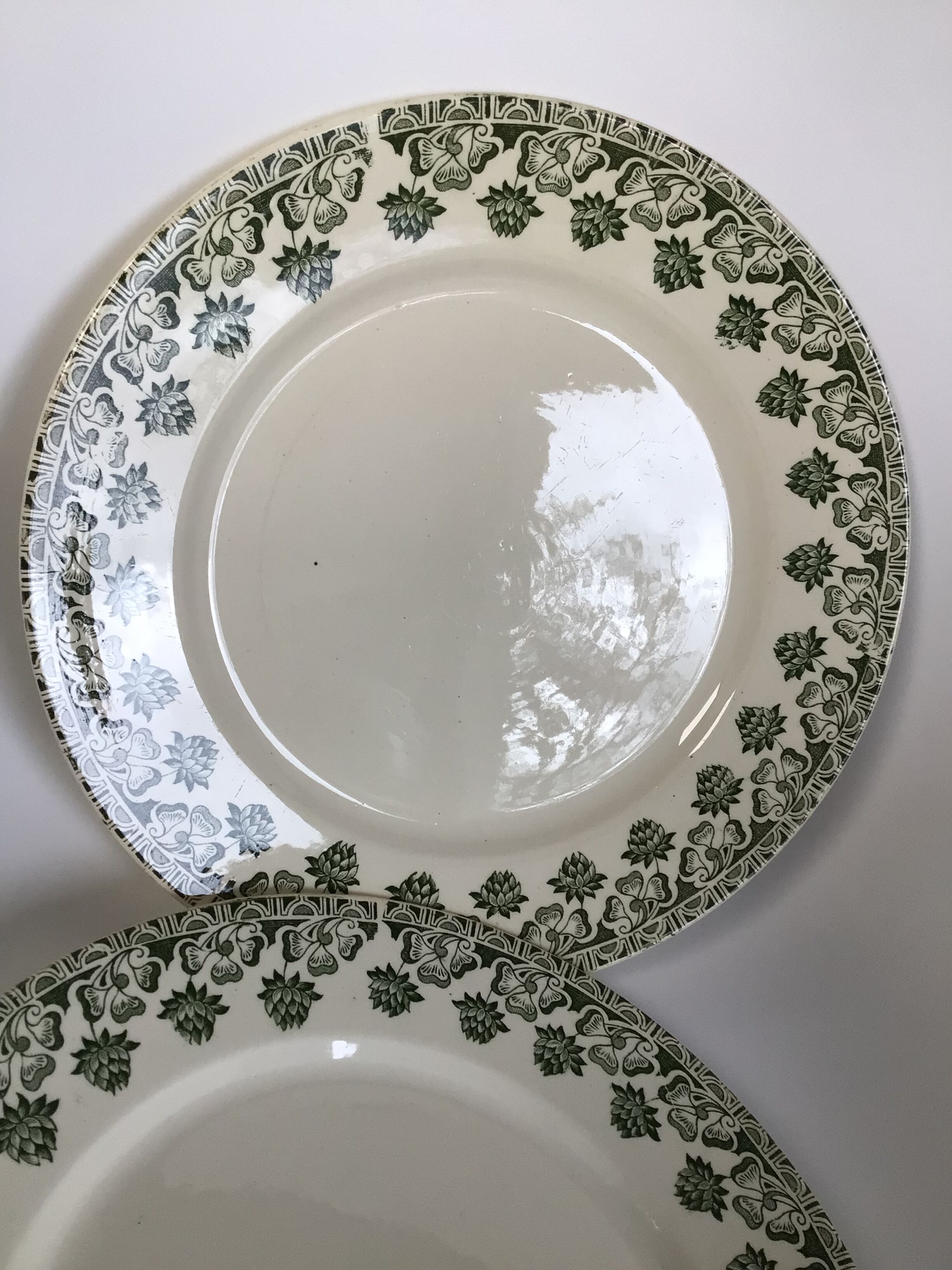 2 Flat Plates Iron Earth Badonviller khaki clover