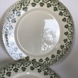 2 Flat Plates Iron Earth Badonviller khaki clover