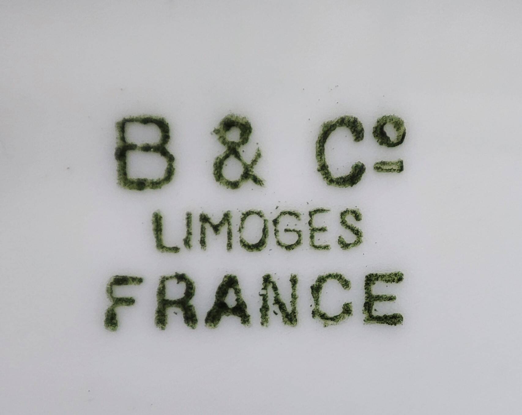 Set of 10 vintage dessert plates Limoges porcelain Bernardaud