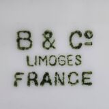 Set of 10 vintage dessert plates Limoges porcelain Bernardaud