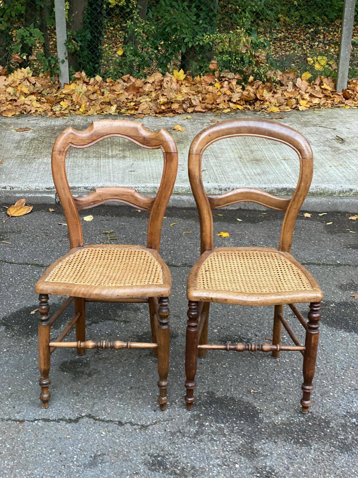 Two Louis Philippe cane chairs in solid carved wood from the 20th century