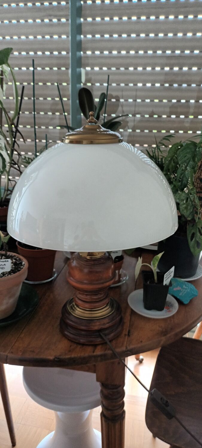 Vintage mushroom lamp