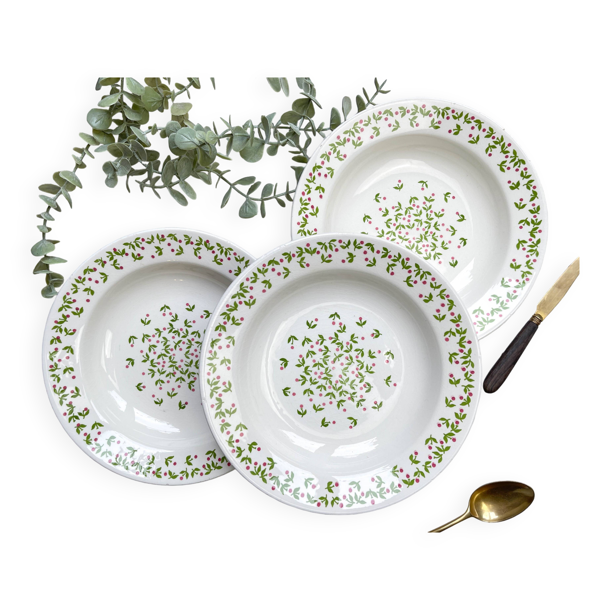 Deep plates Ironstone Italian Giovanni Valdarno pattern green red