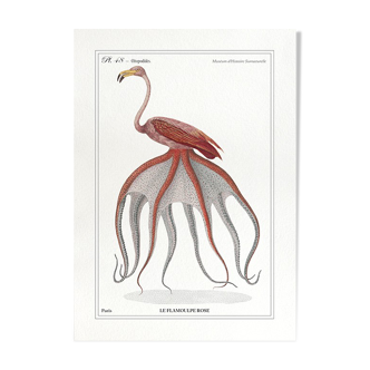 Chimera lithograph animal engraving - the pink flamoulpe