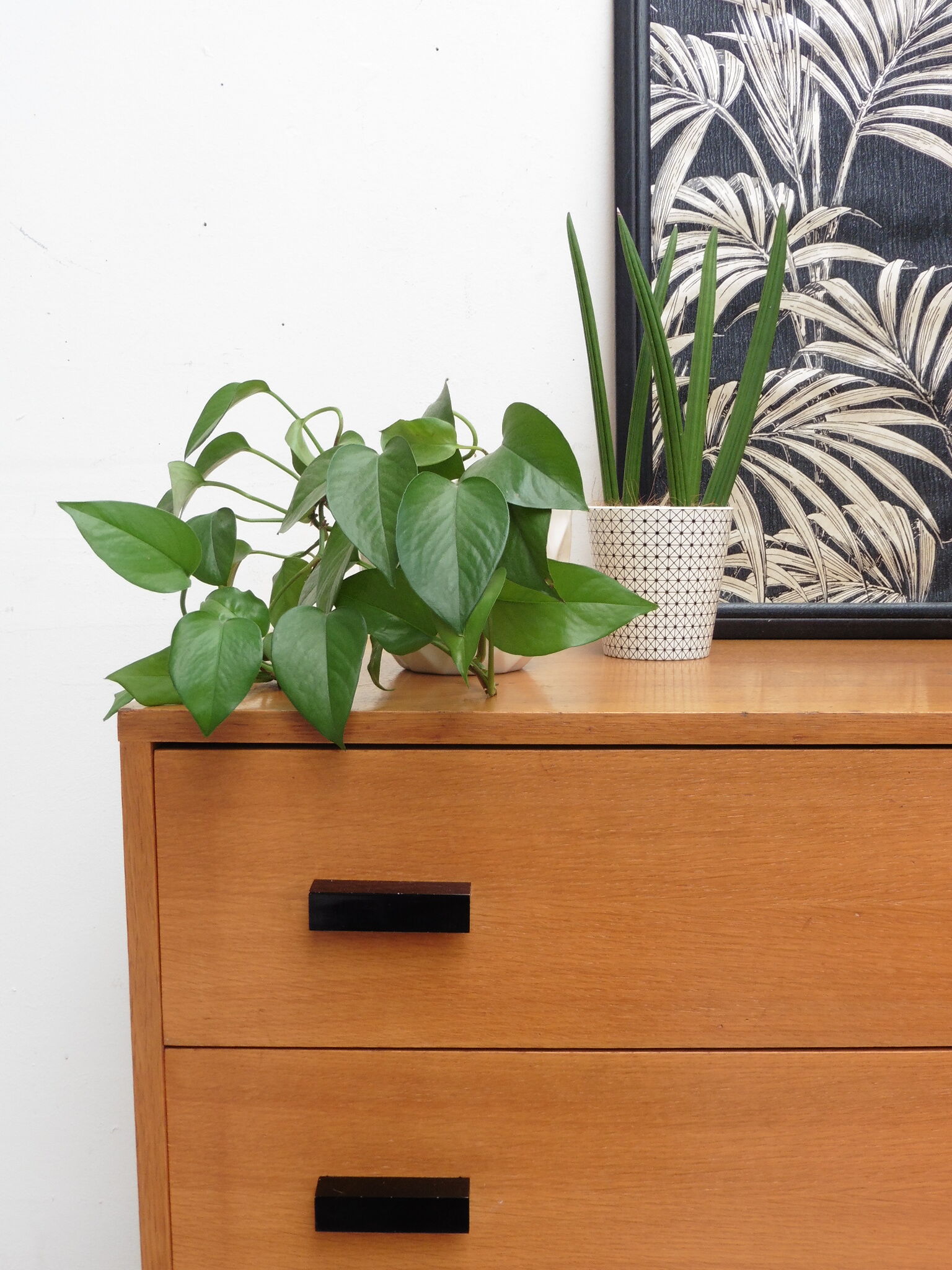 Chest of drawers 60s