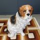 Life sized Vintage glazed terracotta St bernard dog sculpture, 1960s