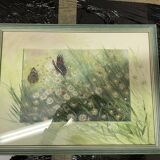Watercolor ann dunbar "red admiral" 30x40 cm