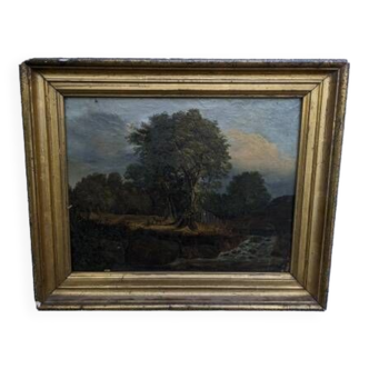 Oil on canvas, forest landscape