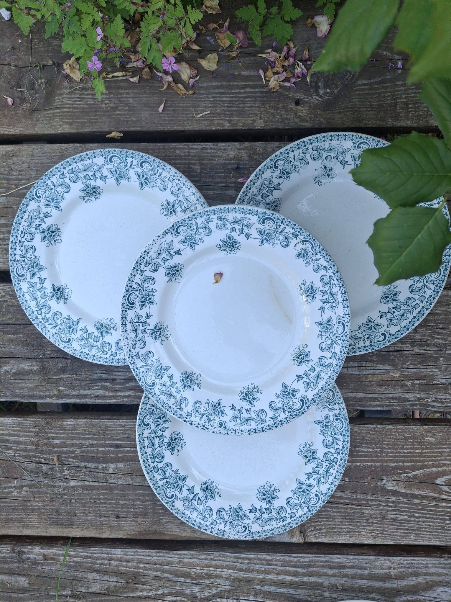 Set of 4 antique ironstone plates from Saint-Amand, "Jane" model.