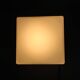Mid-Century Wall Light by Napako, Czechoslovakia, 1970s