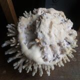 Ancient white coral bouquet