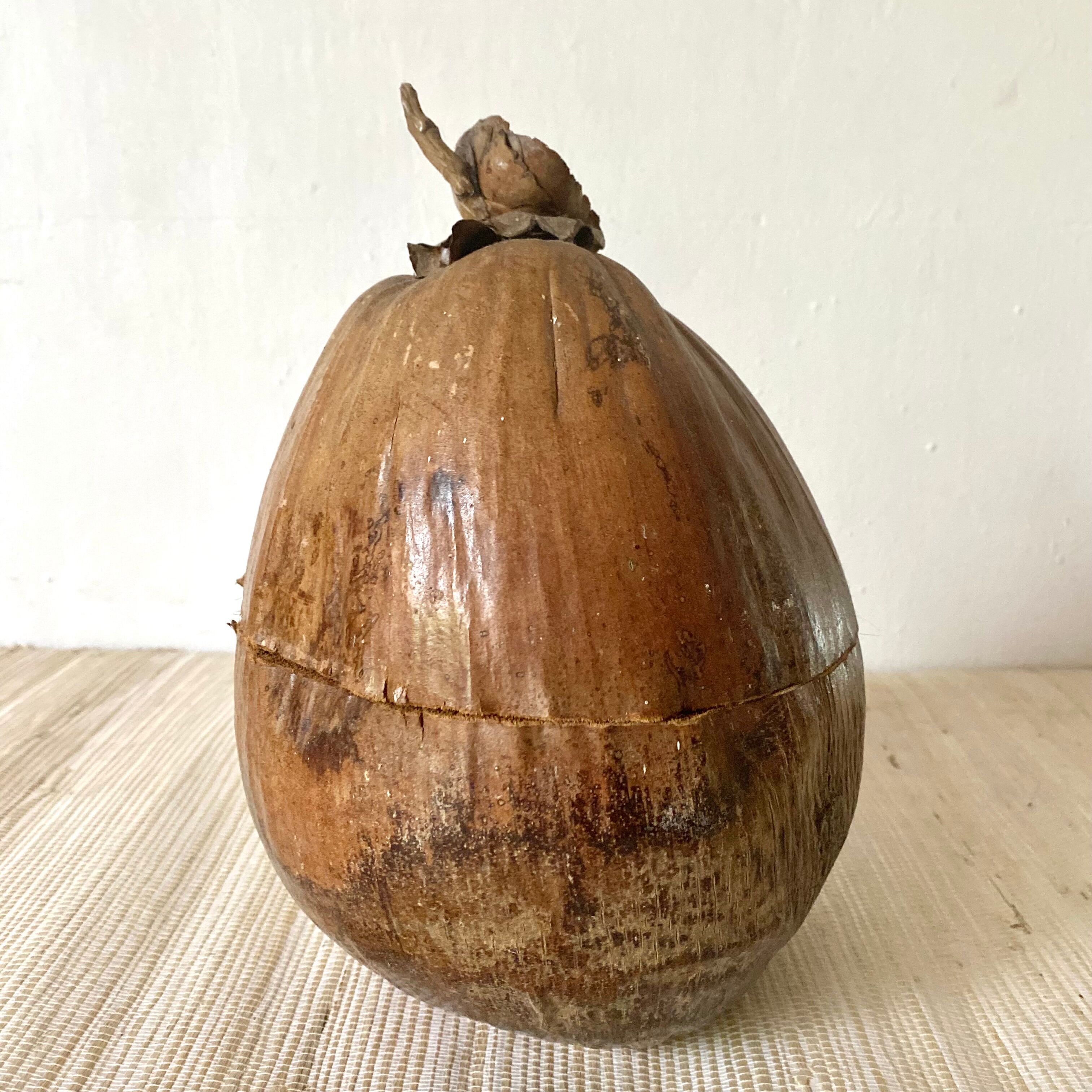 Coconut ice bucket