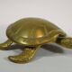 BRASS "TURTLE" POCKET TRAY