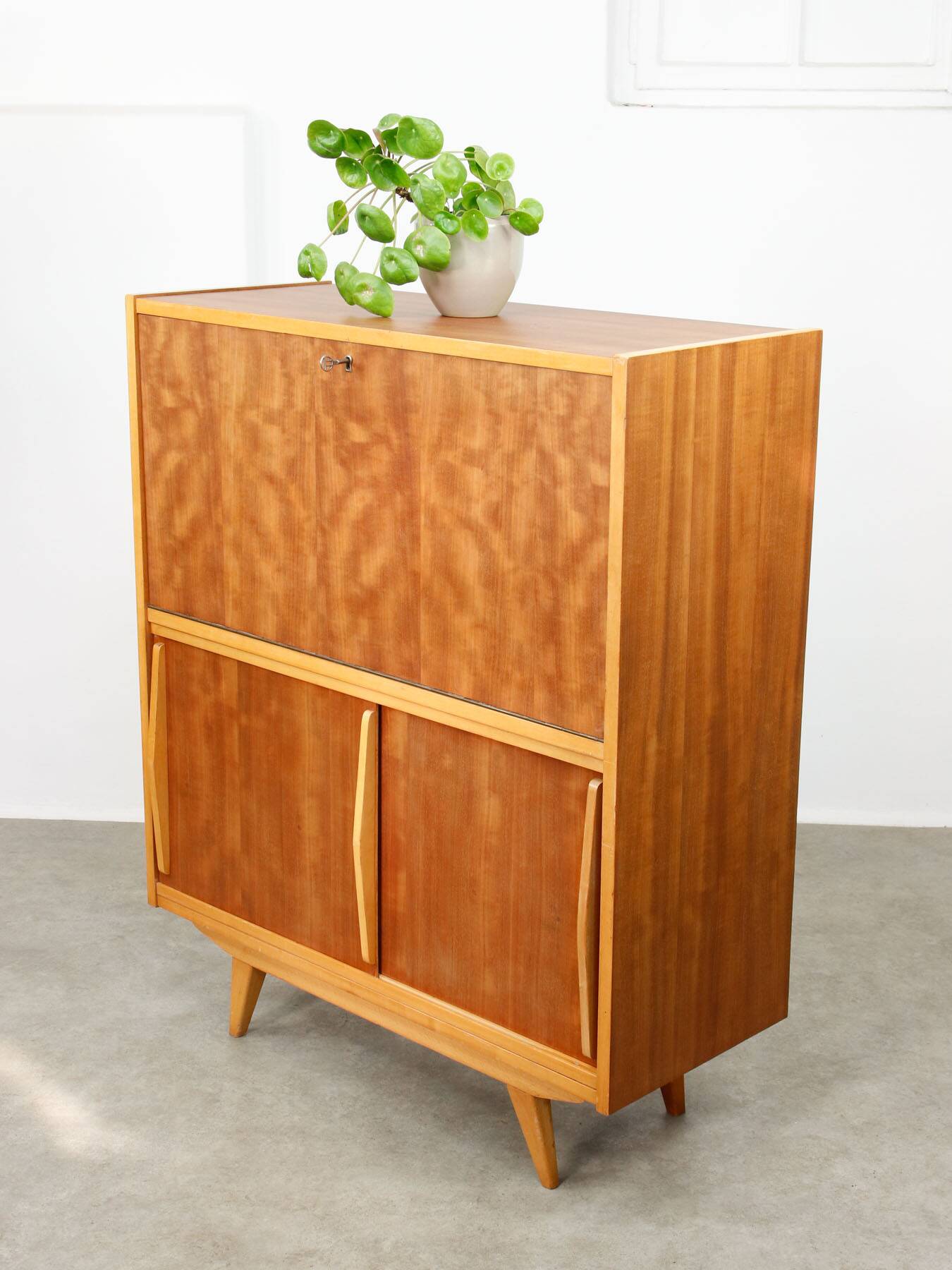 Mid-Century Modern Scandinavian Wooden Bar Cabinet, 1950s