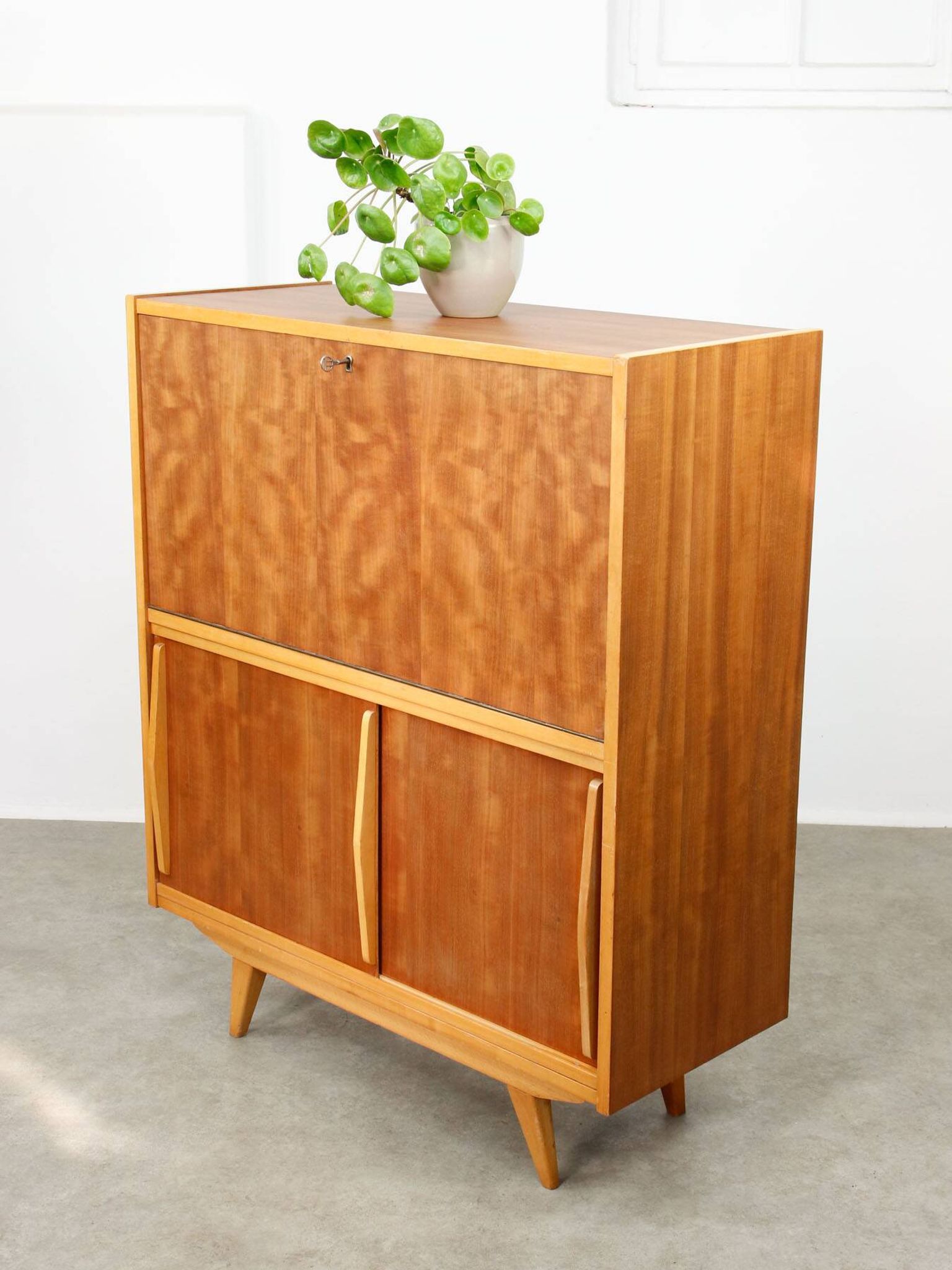 Mid-Century Modern Scandinavian Wooden Bar Cabinet, 1950s