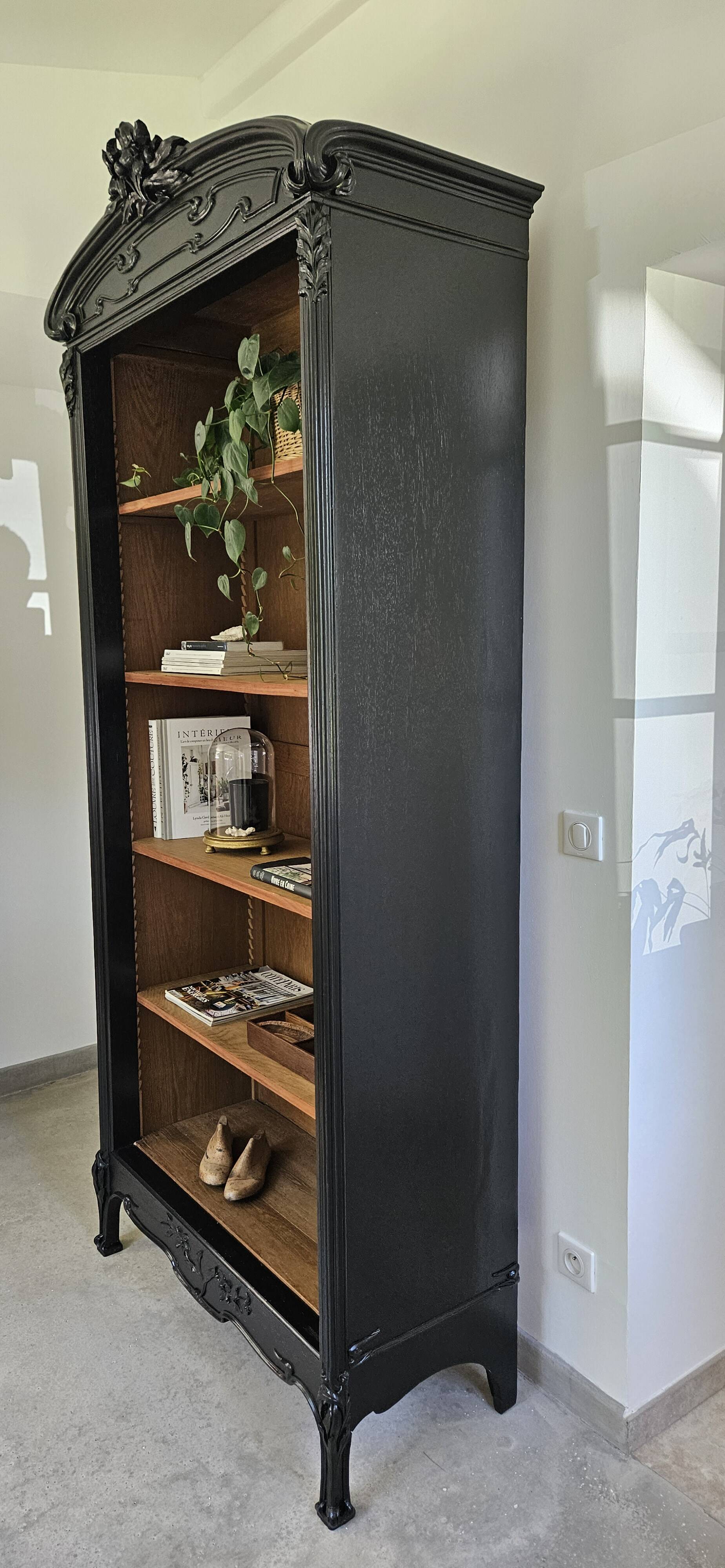 Library shelf cabinet of curiosities Art Nouveau black