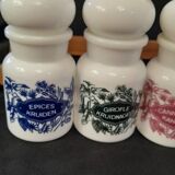 Complete spice rack with opaline pots
