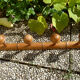 Old wooden coat holder
