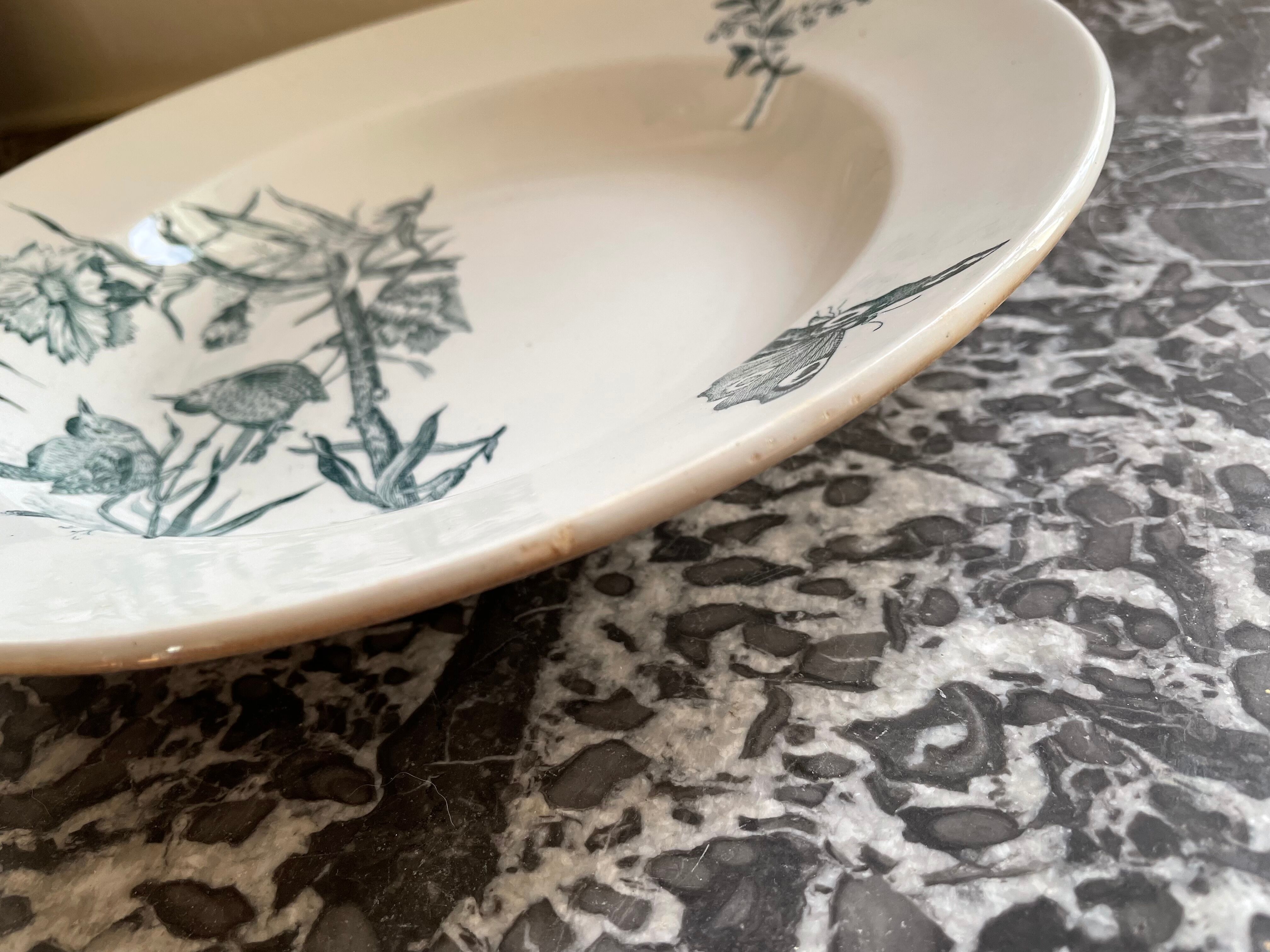 Hollow dish Saint Amand & Hamage "Aucella"