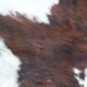 Old large vintage Norman cowhide carpet - Space age 1970