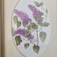 Set of 2 gilded frames under glass – V. Mappin purple flowers – 21.5 x 16.5 cm