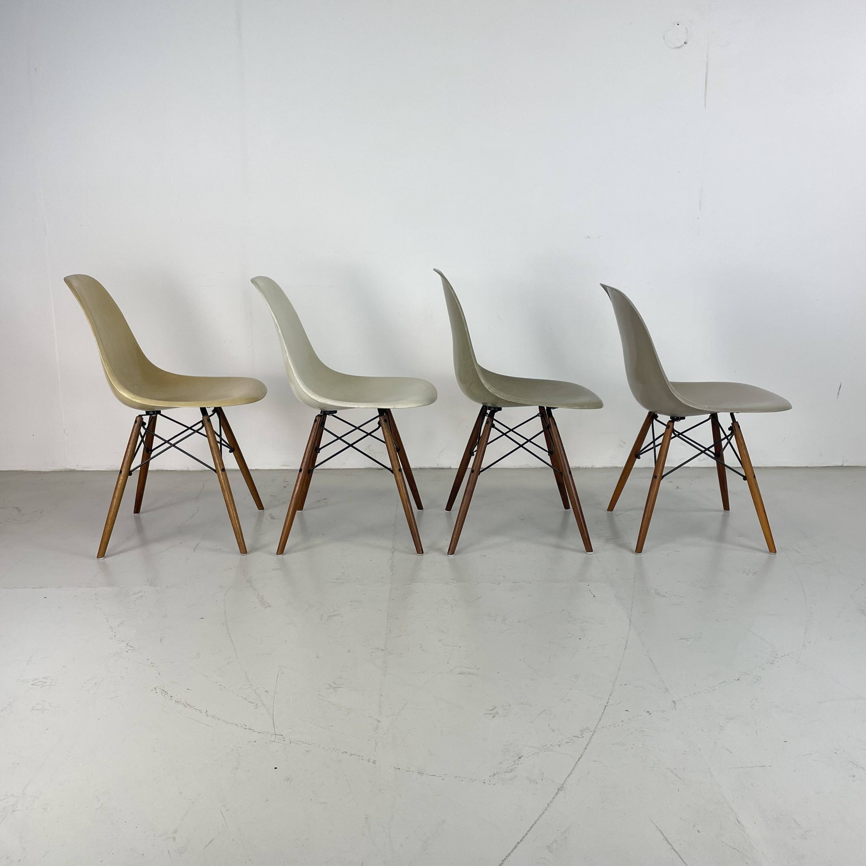 Chaises d'appoint Eames Herman Miller DSW en grège, vert écume de mer, ocre clair et parchemin avec léger