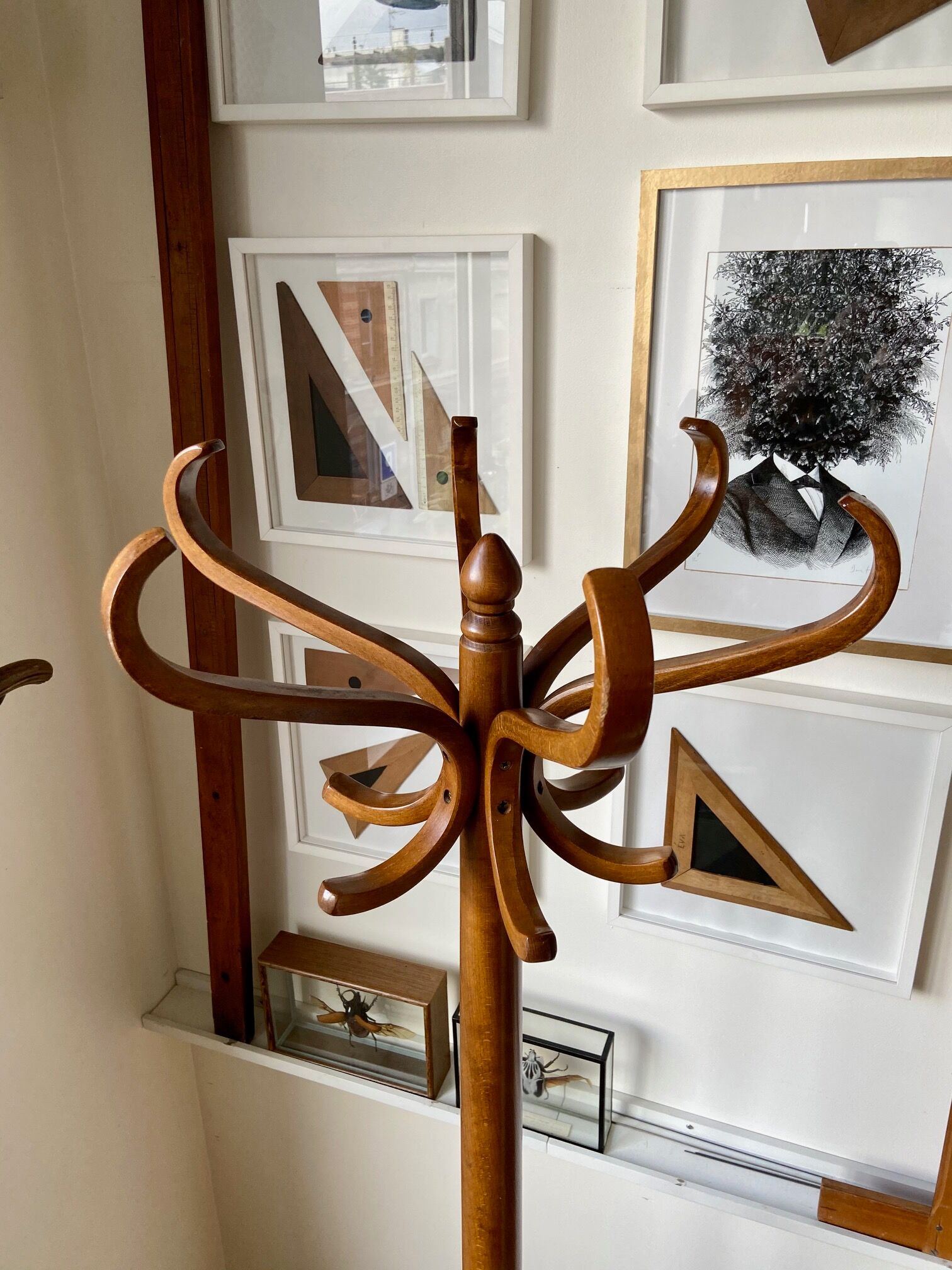 Light wooden parrot coat holder 6 patères