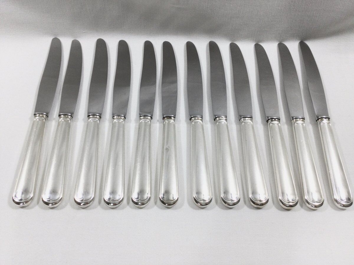 12 entremet knives silver metal net