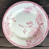 Assiettes à dessert « Turenne » de Creil et Montereau