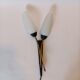 Wall lamp 1960 brass and black metal.